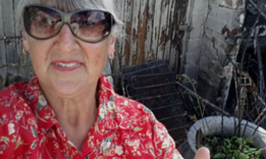 Seemeeu 1/2019: Verwoestende Brande in Franskraal 