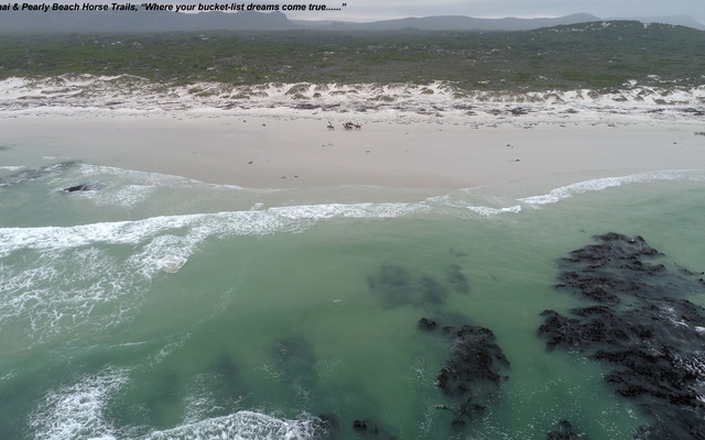 Gansbaai & Pearly Beach Horse Trails