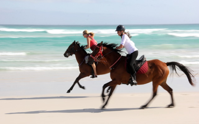 Gansbaai & Pearly Beach Horse Trails