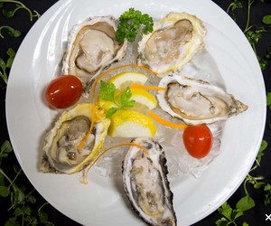 Welcome all holidaymakers and locals!