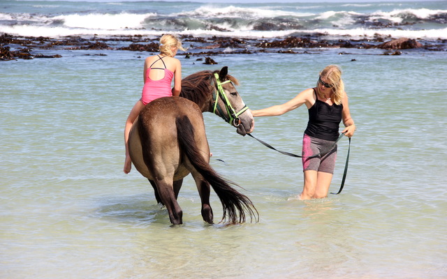 Gansbaai & Pearly Beach Horse Trails