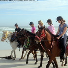 Gansbaai & Pearly Beach Horse Trails