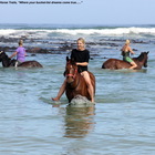 Gansbaai & Pearly Beach Horse Trails