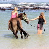 Gansbaai & Pearly Beach Horse Trails