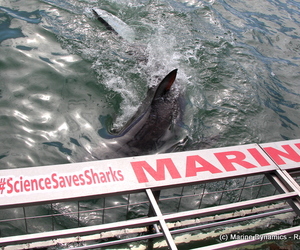 Daily Blog 01 April 2019