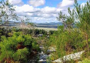 Goodwill Mountain Farm - Prayer & Intention