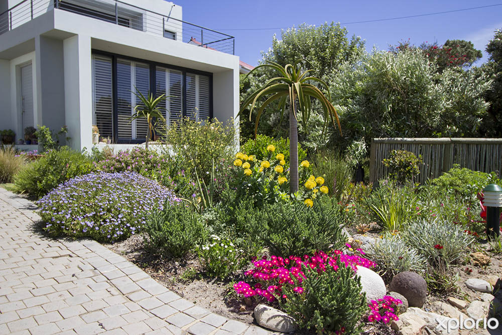 affordable landscaping