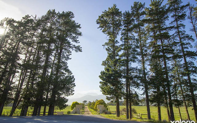 kleinmond_accommodation_njr_cottage_outside_view_1537944520_1554298303