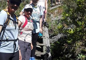 Nature Guided Hiking Trails