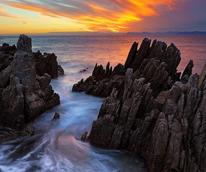 Photography Workshops