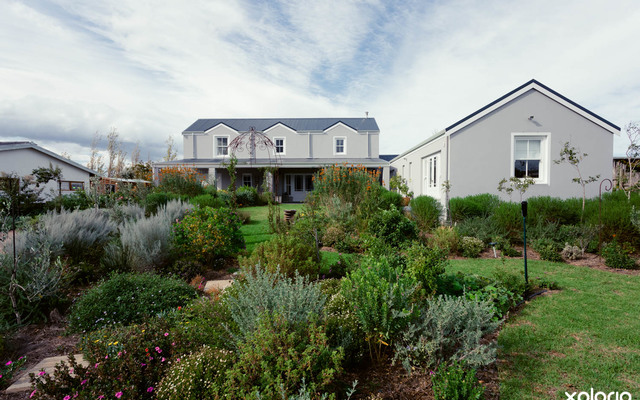 The_barefoot_connection_garden_3_1527508245_1554361385 The_barefoot_connection_garden_3_1527508245_1554361385