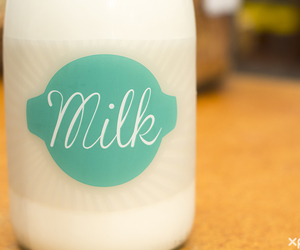 5 Interesting Facts About Milk