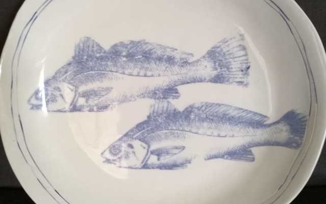 WhatsApp_Image_2019_04_05_at_11.36.02_1554460963