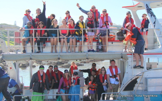 marine_dynamics_shark_cage_diving_1555051199