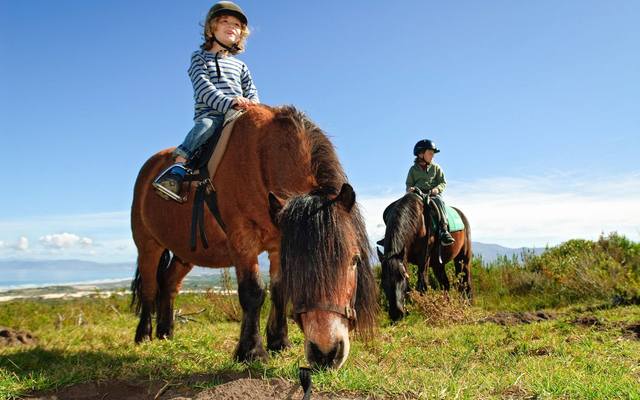 grootbos_private_nature_reserve_horse_riding_1555065415