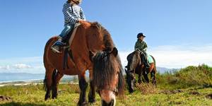 grootbos_private_nature_reserve_horse_riding_1555065415