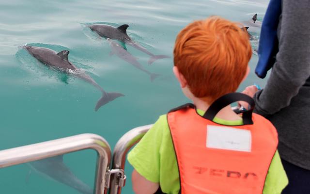 grootbos_private_nature_reserve_marine_big_5_1555065414