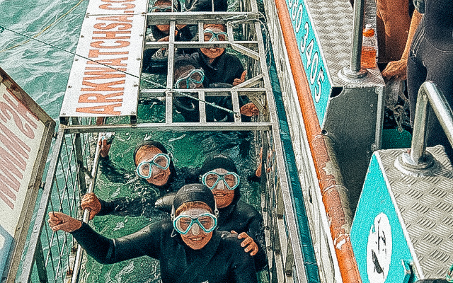 Villa The Cherry - Shark Cage Diving in Gansbaai