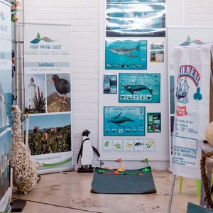 Gansbaai Tourism Bureau - Whale & Penguin Display