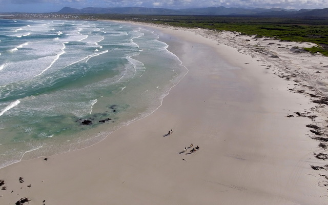 Gansbaai & Pearly Beach Horse Trails