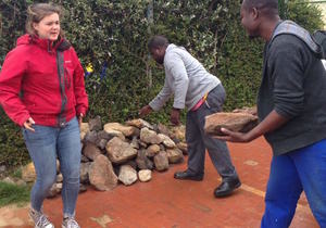Tarchonanthus Littoralis Needed For Strong Winds