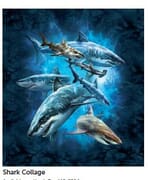 Product List | T-shirts | Shark Themed