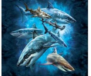 Product List | T-shirts | Shark Themed