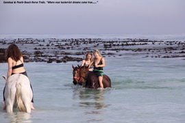 And the Winner is...!