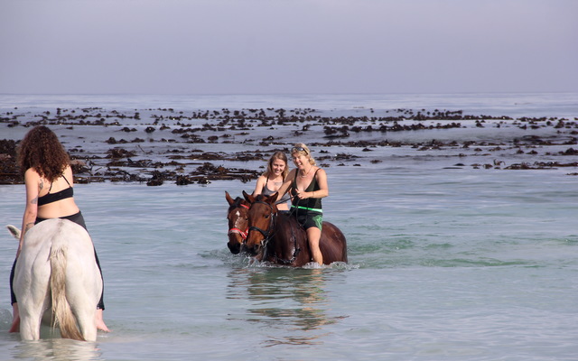 Gansbaai & Pearly Beach Horse Trails