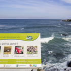 Hermanus Biodiversity