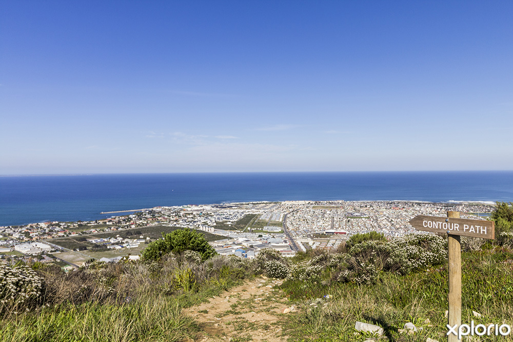 View of Mount Pleasant and Hermanus new harbour