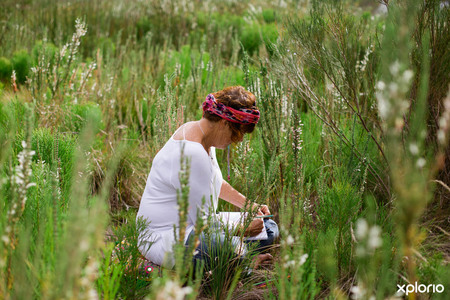 cure_for_fynbos_blindness_drawing_and_taking_notes_while_sitting_in_fynbos_1527501617_1559803339