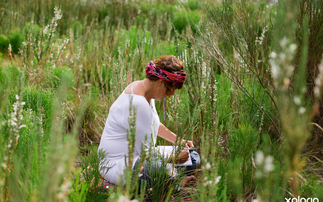 cure_for_fynbos_blindness_drawing_and_taking_notes_while_sitting_in_fynbos_1527501617_1559803339