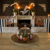 Napier - JD Bistro and Wines - Setting