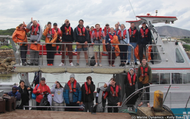 marine_dynamics_shark_tours_4_1559911822