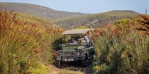 grootbos_private_nature_reserve_botanical_tour_2_1560236041