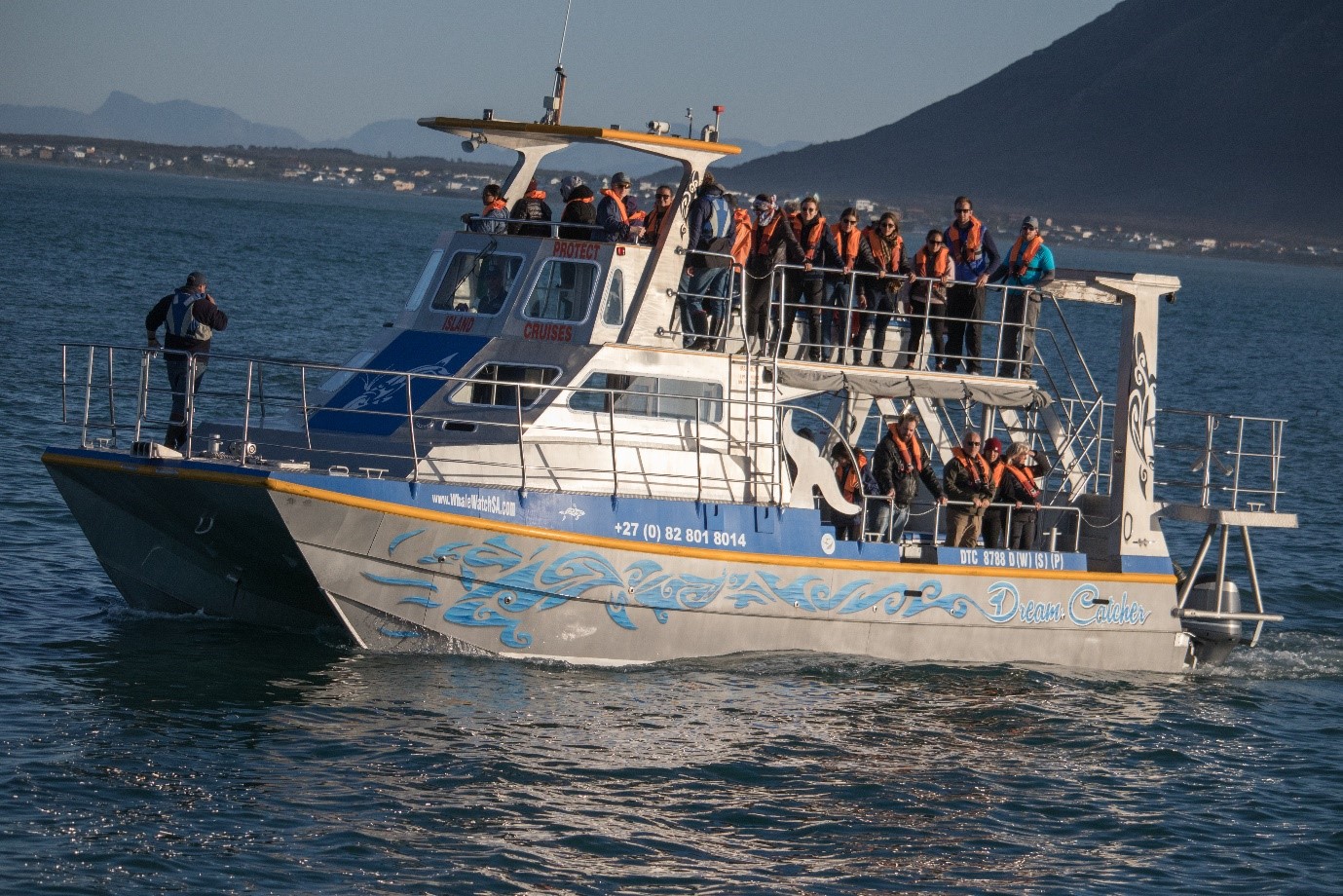 dyer island cruises cape town