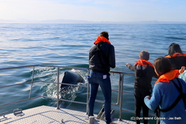 We Hit The Jackpot With Our Whales