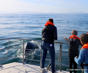 We Hit The Jackpot With Our Whales