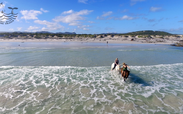 Gansbaai & Pearly Beach Horse Trails