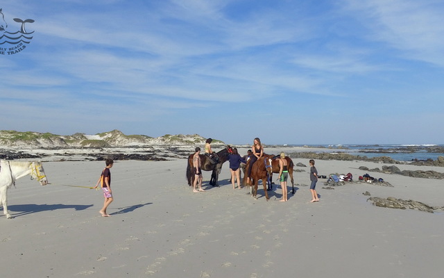 Gansbaai & Pearly Beach Horse Trails Gansbaai & Pearly Beach Horse Trails