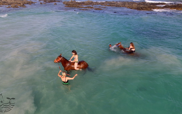 Gansbaai & Pearly Beach Horse Trails