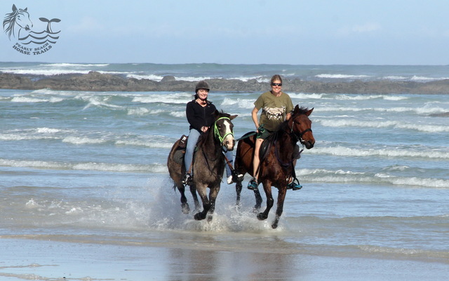 Gansbaai & Pearly Beach Horse Trails