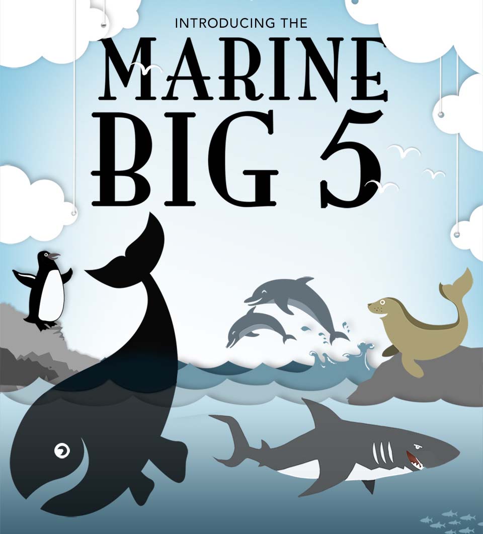 Marine Big 5