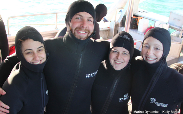 marine_dynamics_shark_tours_4_1562232886