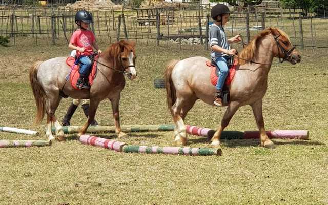 Bredasdorp - Pony Pals - Children’s Parties