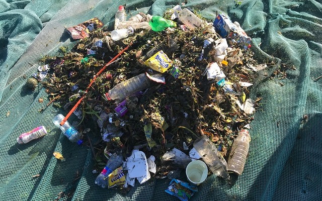 dyer_island_conservation_trust_plastic_polution_1562919334