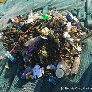 dyer_island_conservation_trust_plastic_polution_1562919334