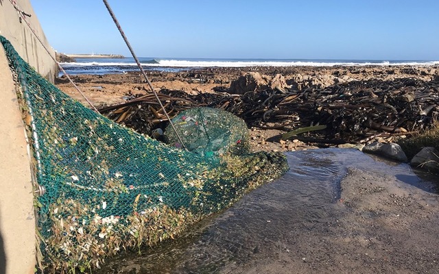 dyer_island_conservation_trust_plastic_polution_2_1562919335