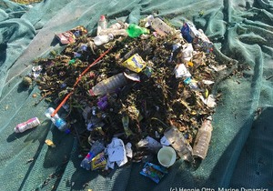 Shark-Cage Diving Town Gansbaai Pioneering New Plastic Pollution Fix